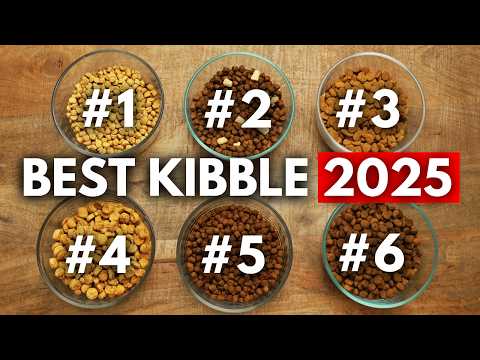 Top 6 Dog Kibbles to Buy in 2025