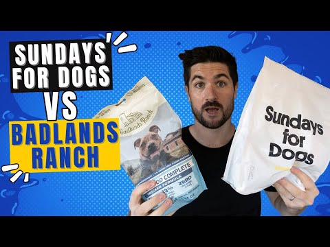 Sundays For Dogs Vs Badlands Ranch: What's The Difference? Our Pick