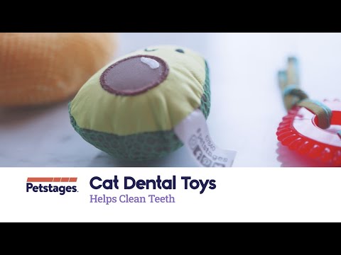 Cat Dental Toys | Petstages