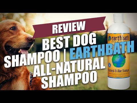 Best Dog Shampoo | Earthbath All-Natural Shampoo Review