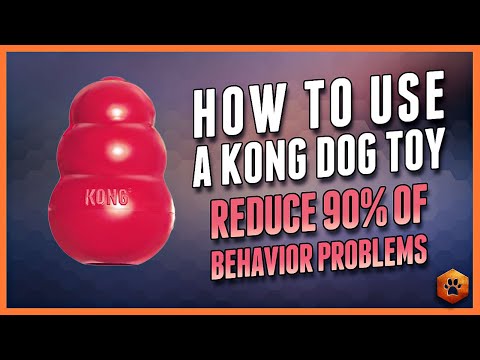 The Surprising Way Kong Toys Can CHANGE Your Dog's Life