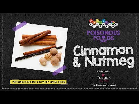 Can Dogs Eat Cinnamon and Nutmeg?