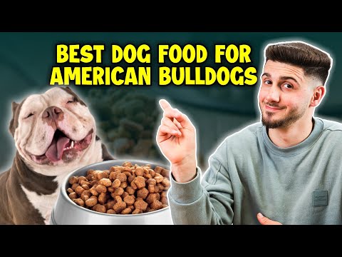 Best Dog Foods For Bulldogs