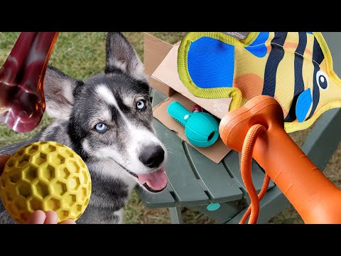 Durable Dog Toys for Aggressive Chewers!