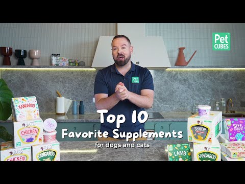 Top 10 Supplements to Feed Your Pet | What supplements should I feed my dog?