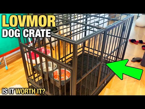 I Tried This LOVMOR Heavy Duty Dog Crate From Amazon (Review)