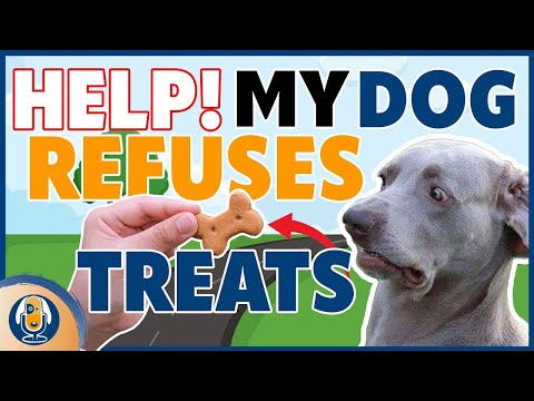 Help For Dogs Refusing Treats: Case Study With Training Plan #179 #podcast