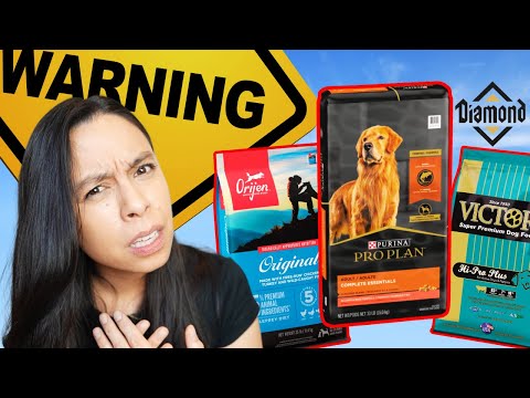 The 4 TOP Dog Foods to AVOID?! 😳 Purina, Orijen, Victor and Diamond