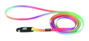 Li'l Pals® Patterned Dog Leash with E-Z Snap®, Pastel Rainbow, X-Small Dog 1pc 3/8" x 6'