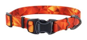 Inspire Adjustable Fashion Dog Collar, Blazing Shards, Medium - 1" x 14"-20"