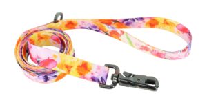 Inspire Fashion Dog Leash, Sherbet Blooms, Medium/Large - 1" x 6' Dog