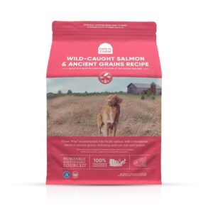 Open Farm Wild Salmon and Ancient Grains Dog 22 lb