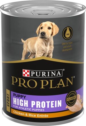 Pro Plan Hi Protein Chicken & Rice Puppy 13 oz