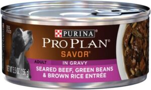 Pro Plan Seared Beef & Rice Dog 5.5 oz