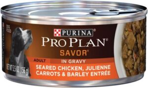 Pro Plan Complete Essentials Chicken Carrot & Barley in Gravy Dog 5.5 oz