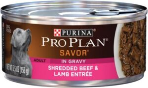 Pro Plan Complete Essentials Shredded Beef & Lamb in Gravy Dog  5.5 oz