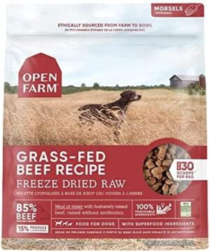 Open Farm Grass-Fed Beef Freeze-Dried Raw Morsels Dog Food 31.5 oz