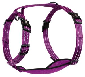 ALCOTT NYLON HARNESS LG PRPLE ADVENTURE 8.5IN