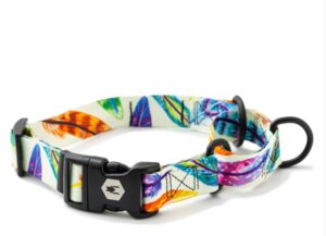 FeatheredFriend MARTINGALE DOG COLLAR