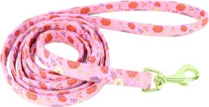 Accent Metallic Dog Leash Sm-Med