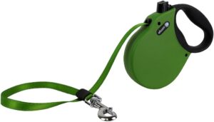 Adventure Retractable Leash, Large, Green