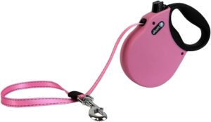 Adventure Retractable Reflective Belt Leash, Large, Pink