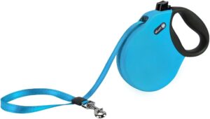 Alcott Adventure Retractable Leash, Extra Large, Blue