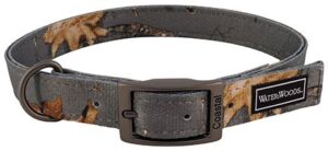 Water And Woods Double Ply Patterned Hound Dog Collar Country Roots Evergreen Dog 1inx20in