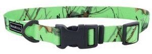 Water And Woods Adjustable Dog Collar Country Roots Equinox Dog 1inx14-20in