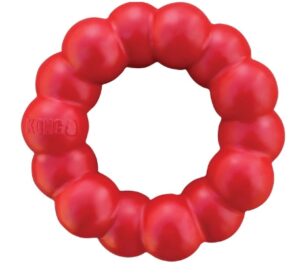 KONG Ring Dog Toy