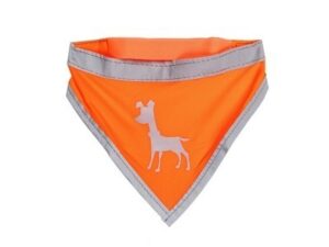 Alcott Neon Orange Visibility Dog Bandana, Small